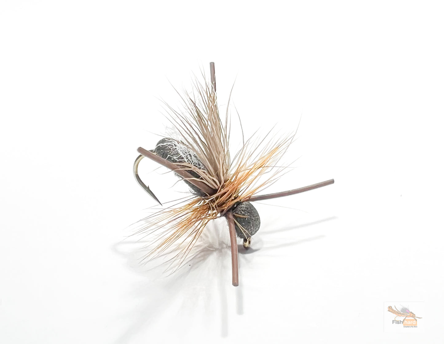 CFB Ant
