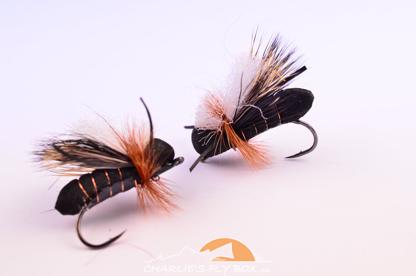 Cicada, Lovejoy's