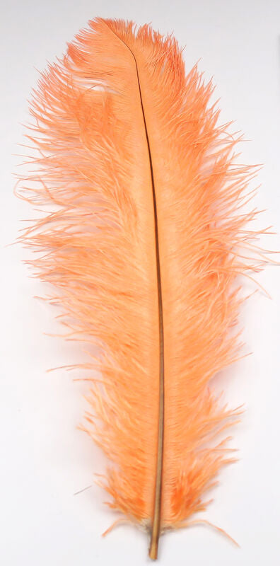 Ostrich Plumes (Herl)
