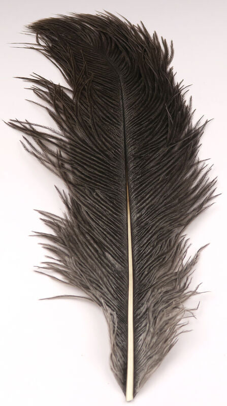 Ostrich Plumes (Herl)