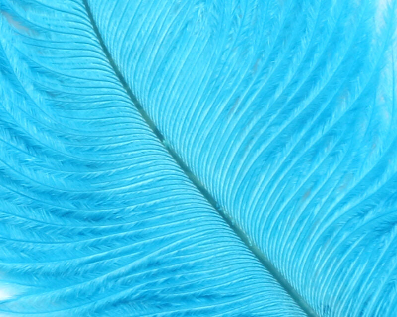 Ostrich Plumes (Herl)