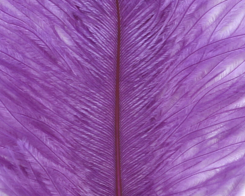 Ostrich Plumes (Herl)