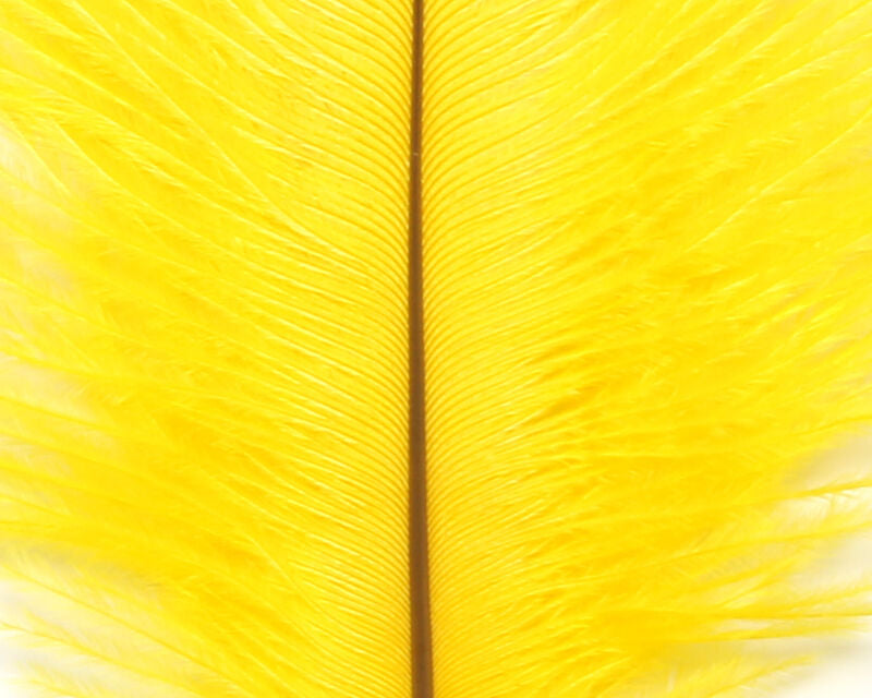 Ostrich Plumes (Herl)