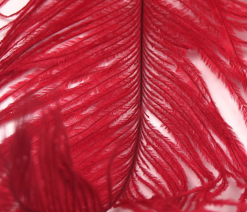 Ostrich Plumes (Herl)