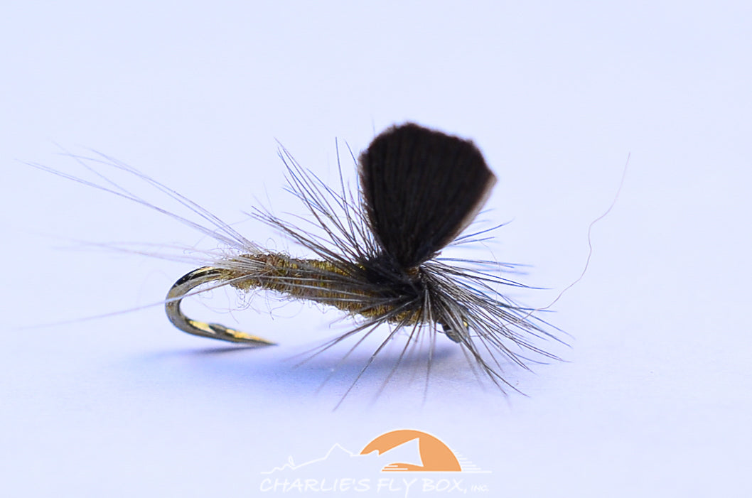 Parachute Baetis