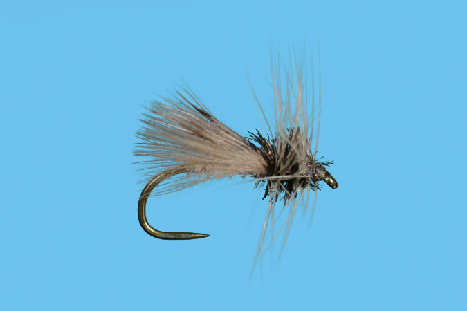 Henry's Fork Caddis, Harrop's