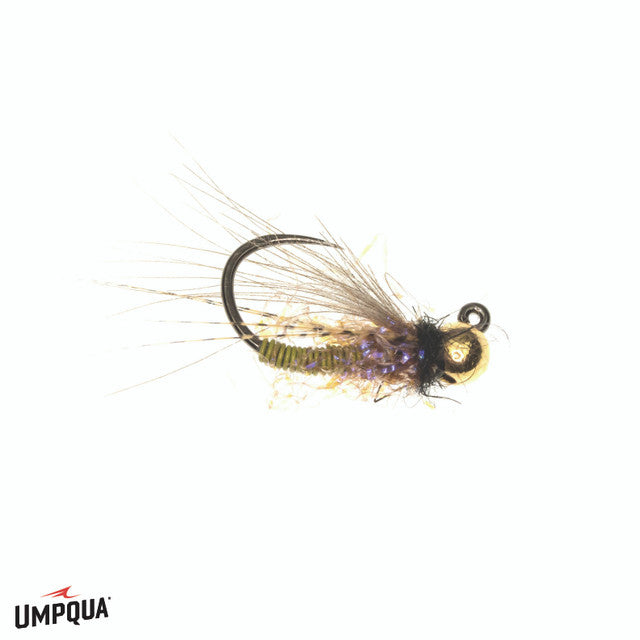 Sweetmeat Caddis, Doctor's