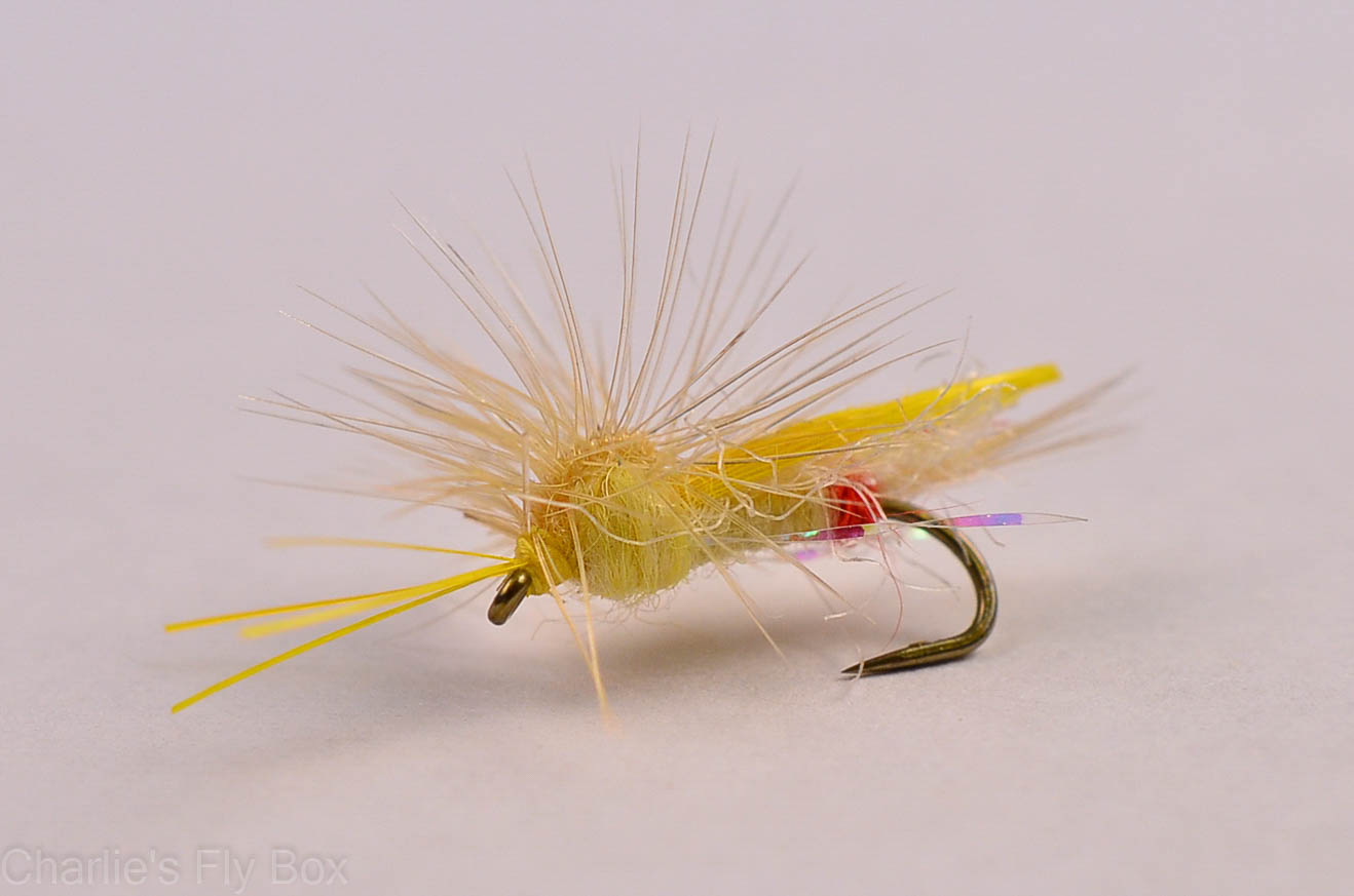 Outrigger Sally
