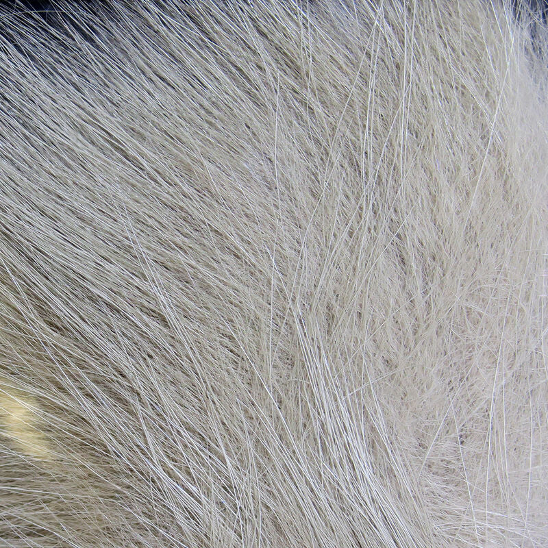 Artic Fox Tail Hair