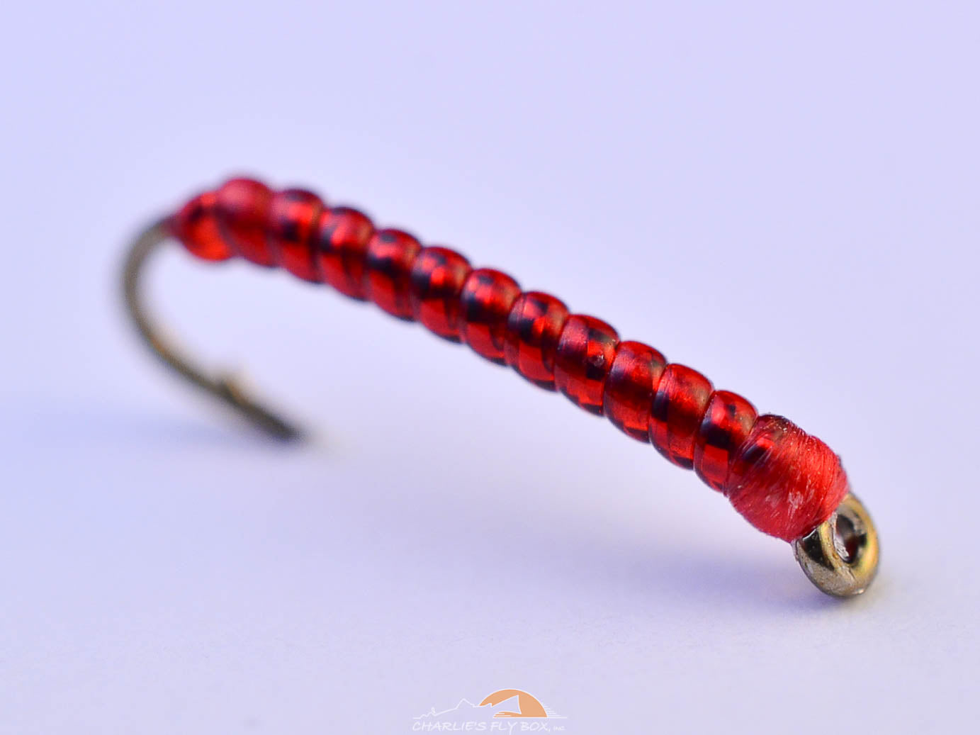 Rock Worm