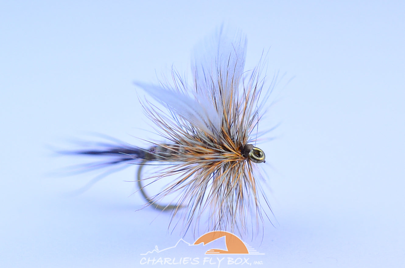Colorado Green Drake