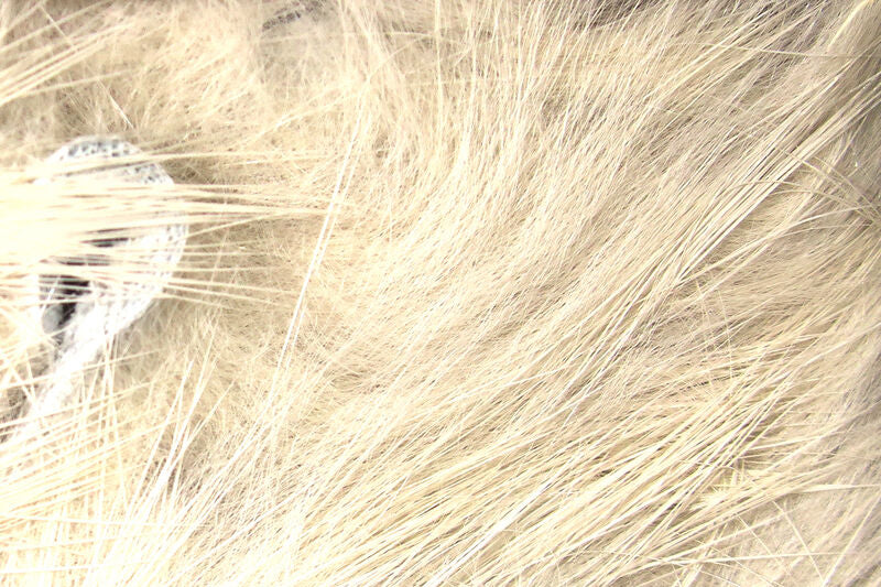 Cross Cut Rabbit Strips