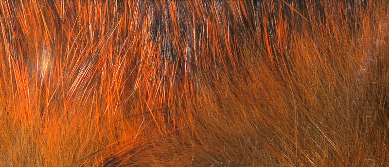 Cross Cut Rabbit Strips
