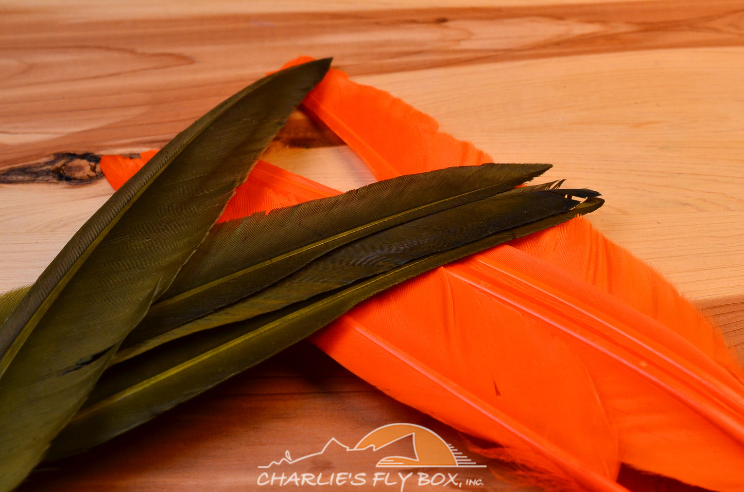 Duck Quill