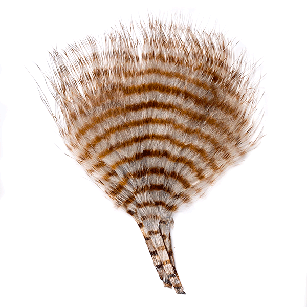 MFC Mini-Barred Marabou