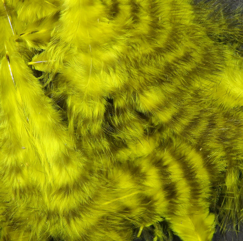 grizzly marabou