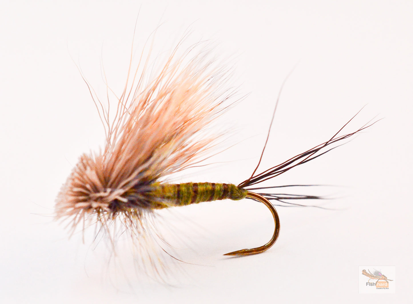 Hairwing Green Drake