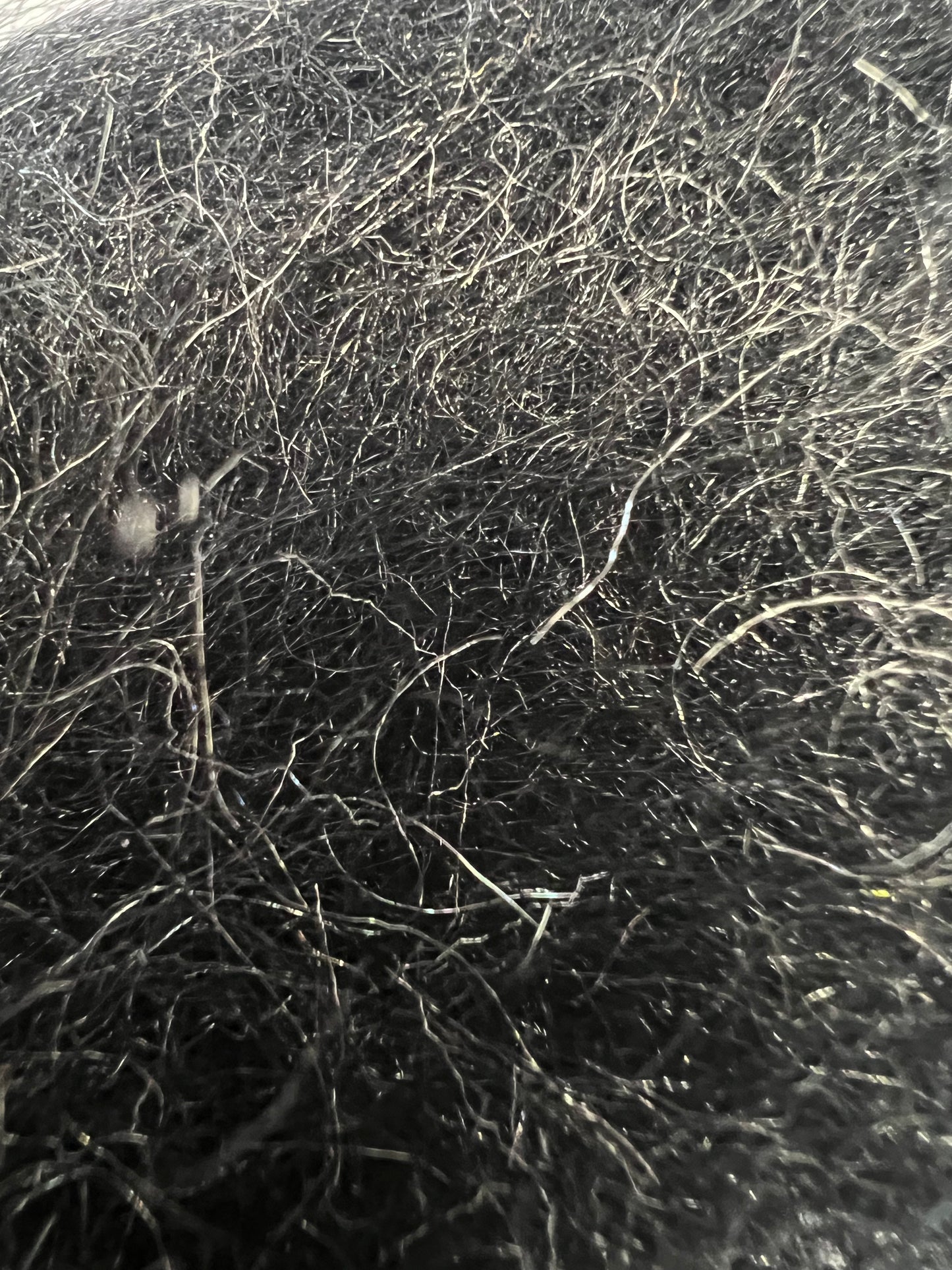 Nature's Spirit Emergence Dubbing