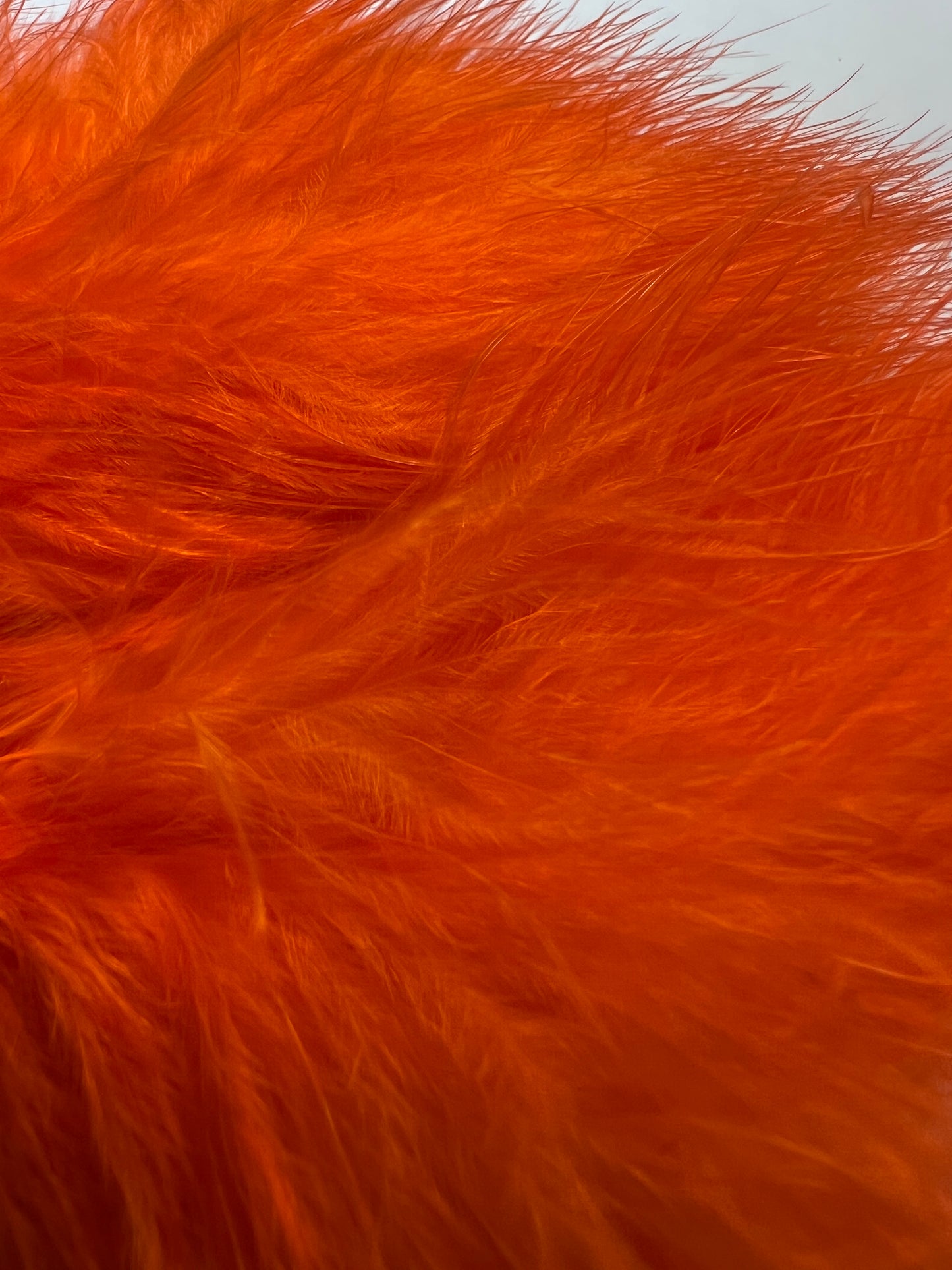 Marabou