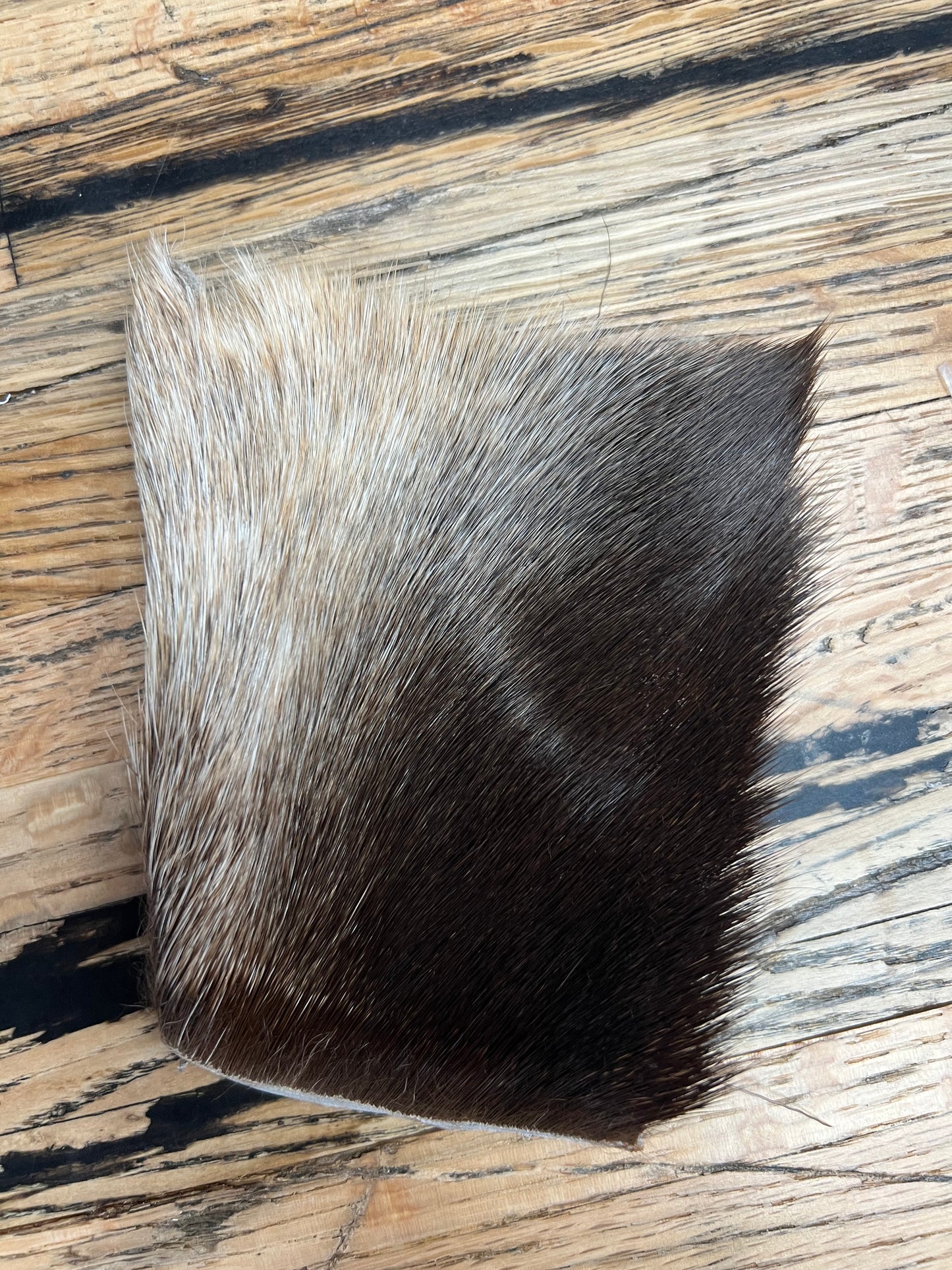 Moose Hock, Large Piece