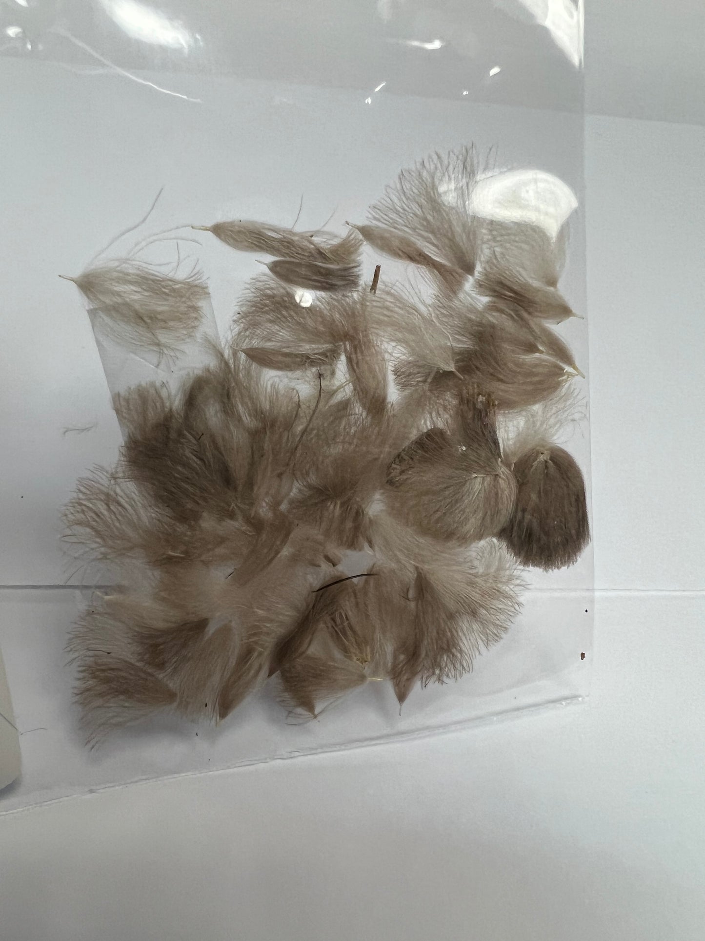 CDC Puffs/Tufts