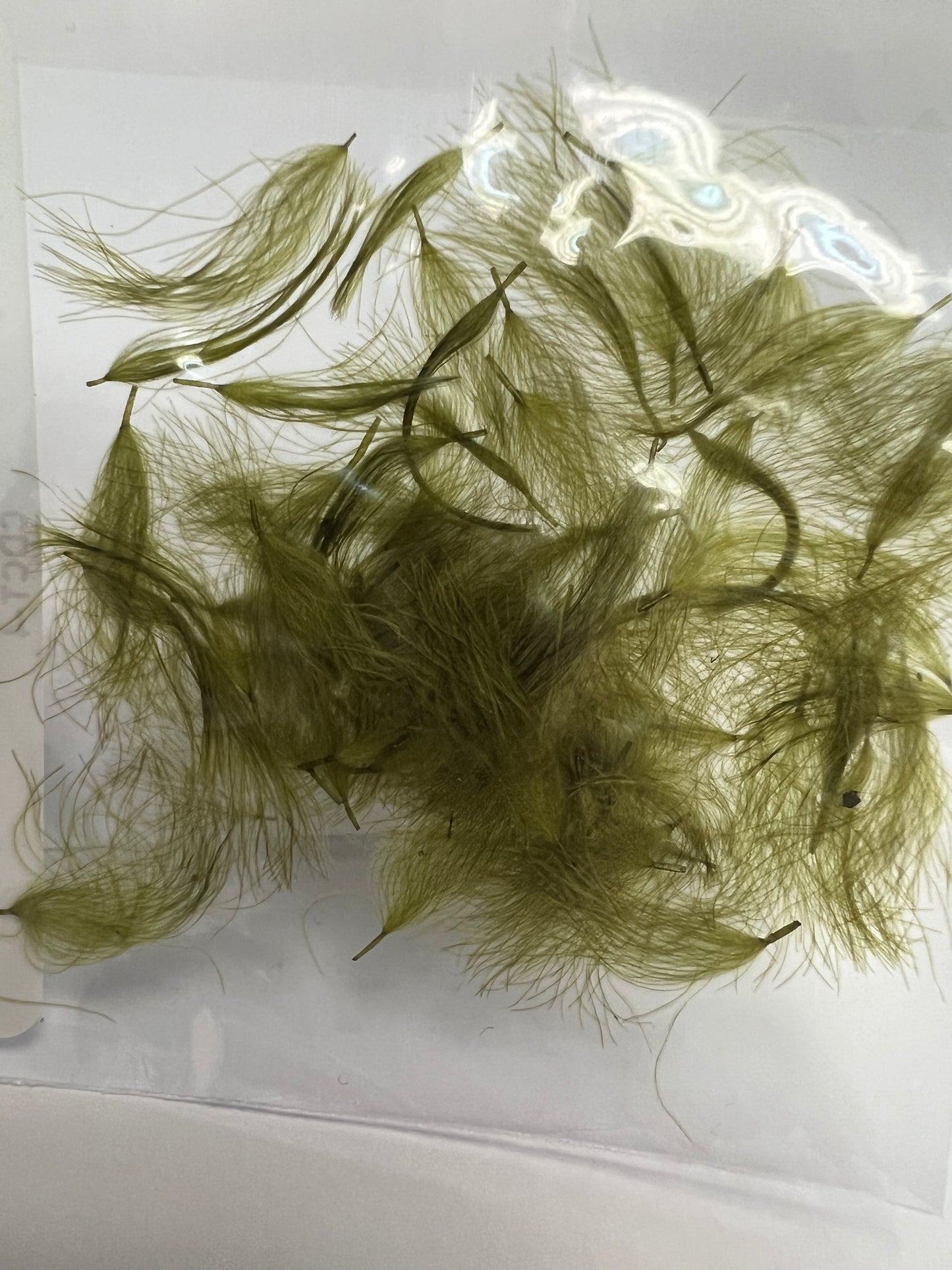 CDC Puffs/Tufts
