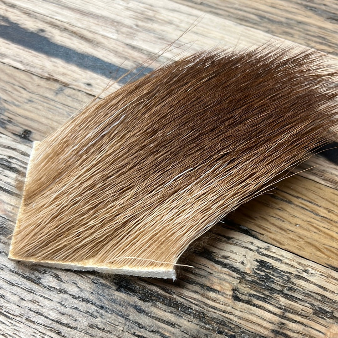 Moose Body Hair