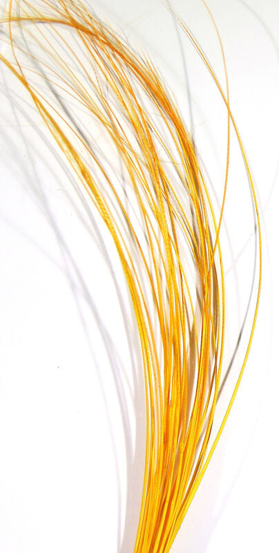 Stripped Hackle Quills