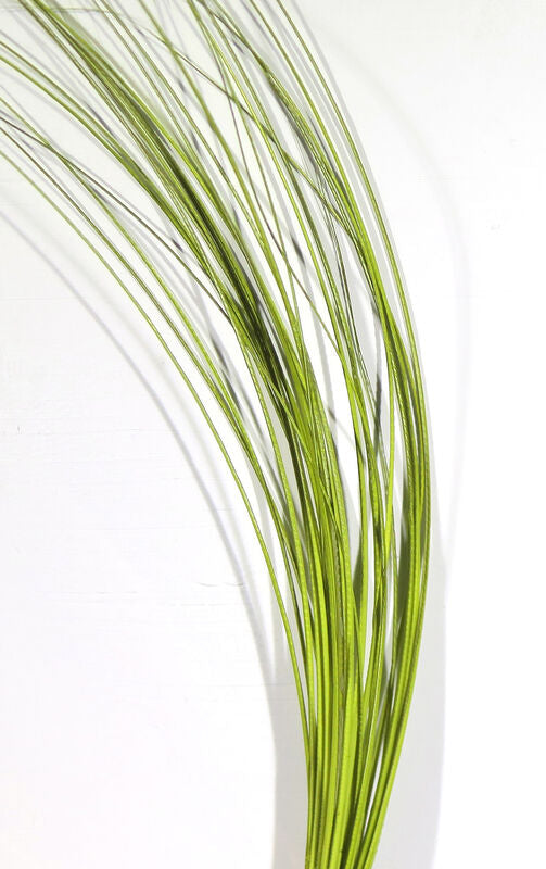 Stripped Hackle Quills