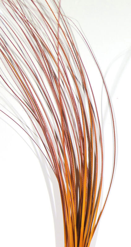 Stripped Hackle Quills