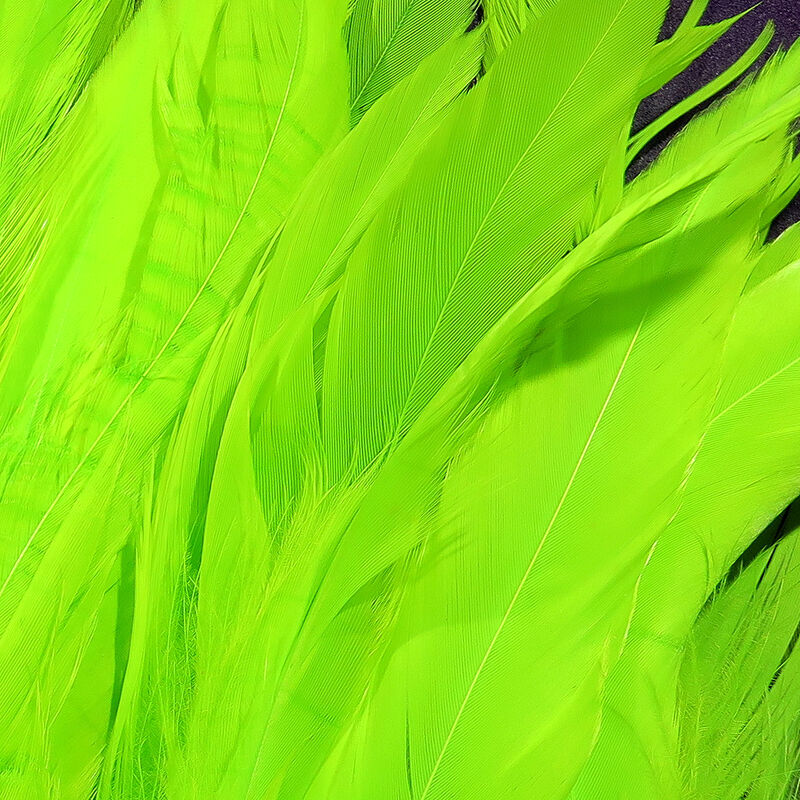 Schlappen Feathers