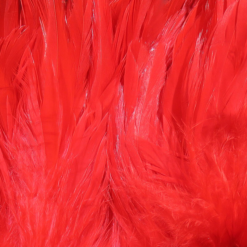 Schlappen Feathers