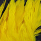 Schlappen Feathers