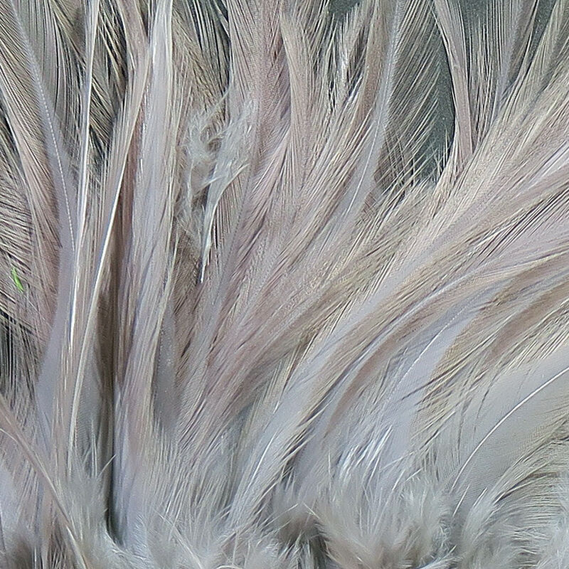 Strung Saddle Hackle