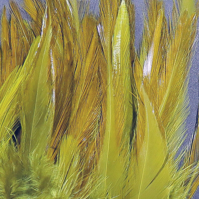 Strung Saddle Hackle