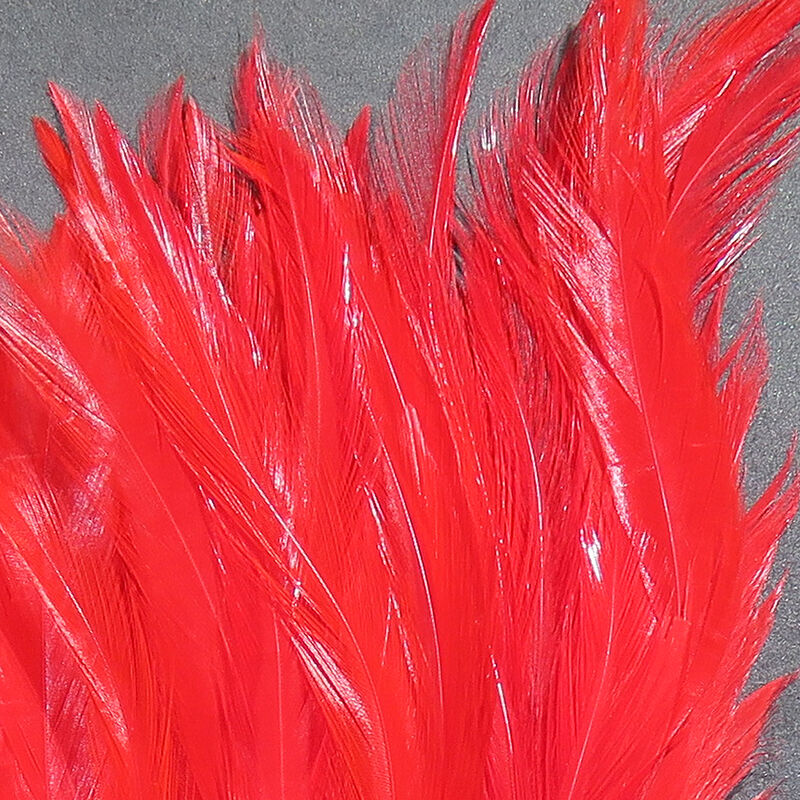 Strung Saddle Hackle