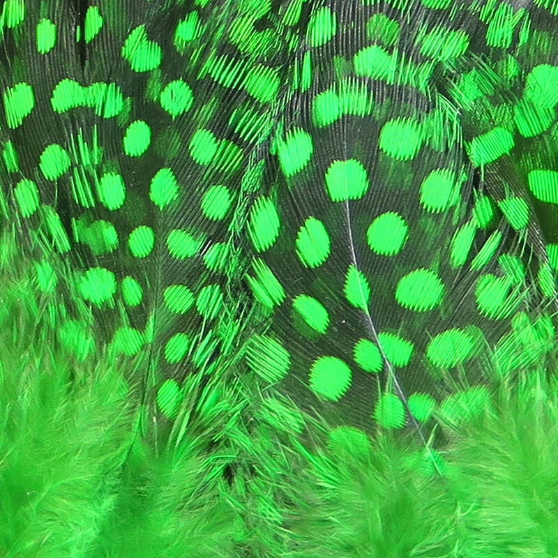 Guinea Body Feathers