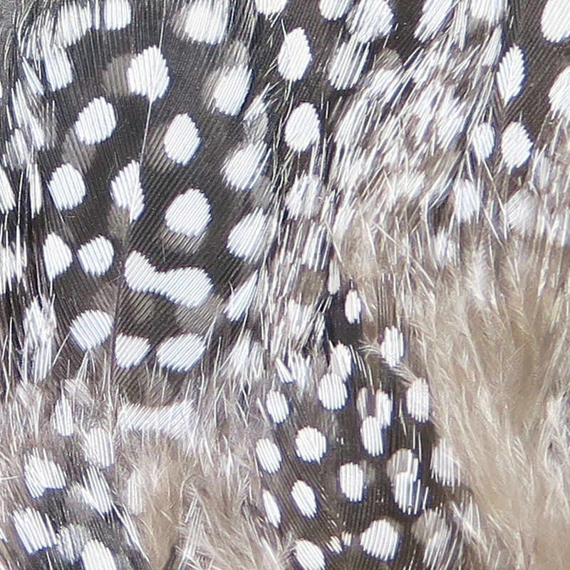 Guinea Body Feathers