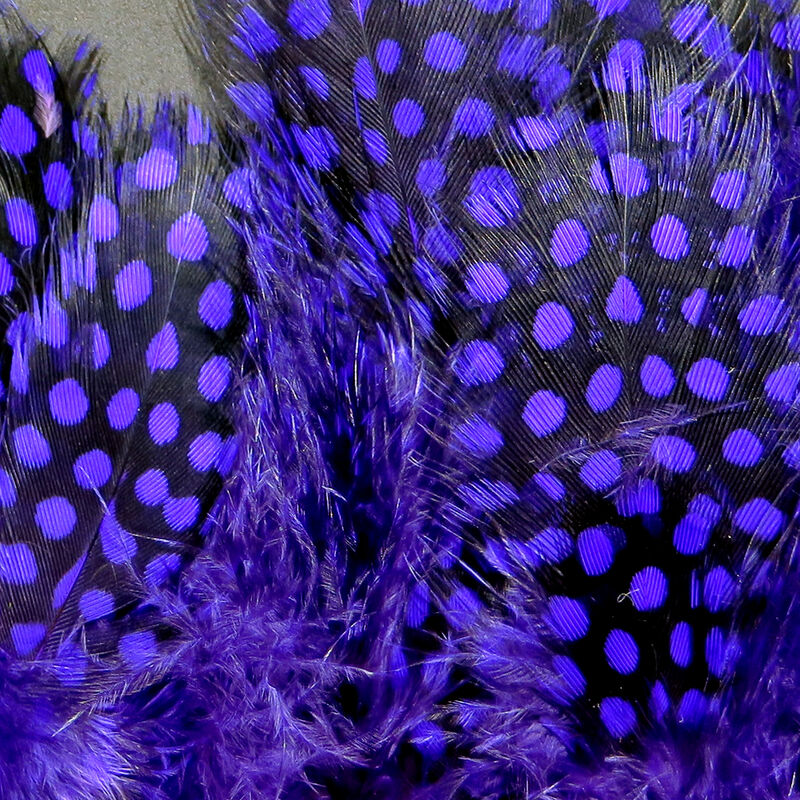Guinea Body Feathers