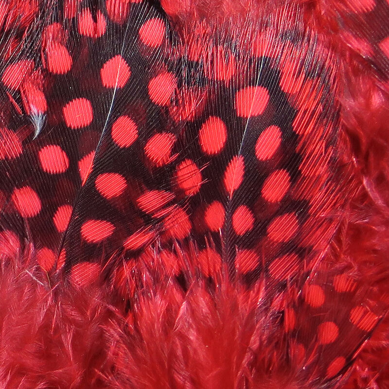 Guinea Body Feathers