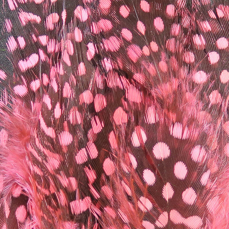 Guinea Body Feathers
