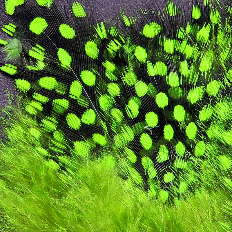 Guinea Body Feathers