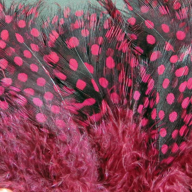 Guinea Body Feathers