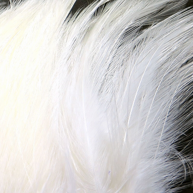 Strung Saltwater Neck Hackle