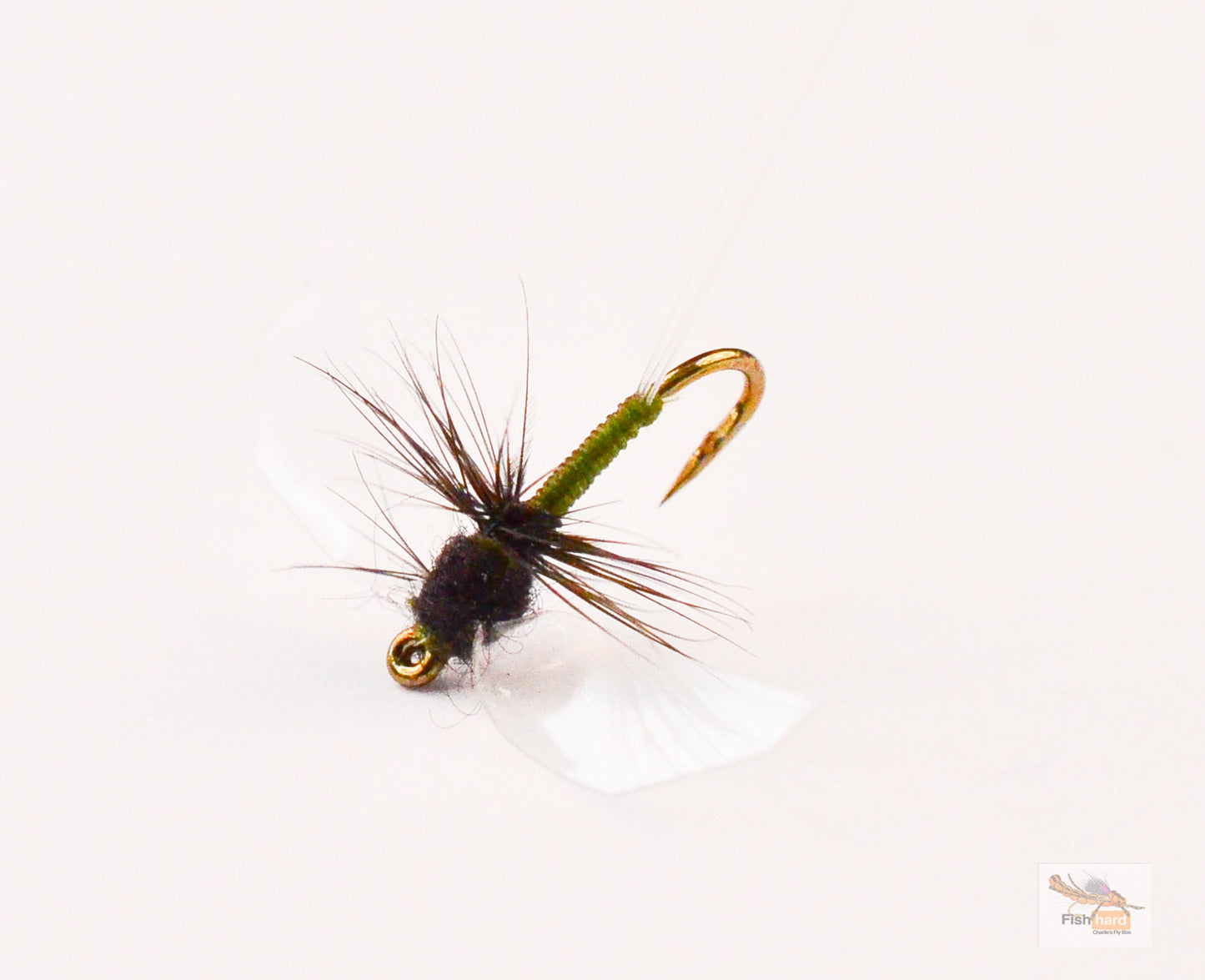 Tails Up Trico, Mayer's