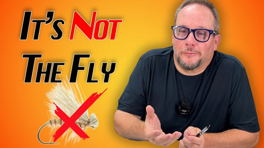 7 Things to Change Before You Change Your Fly