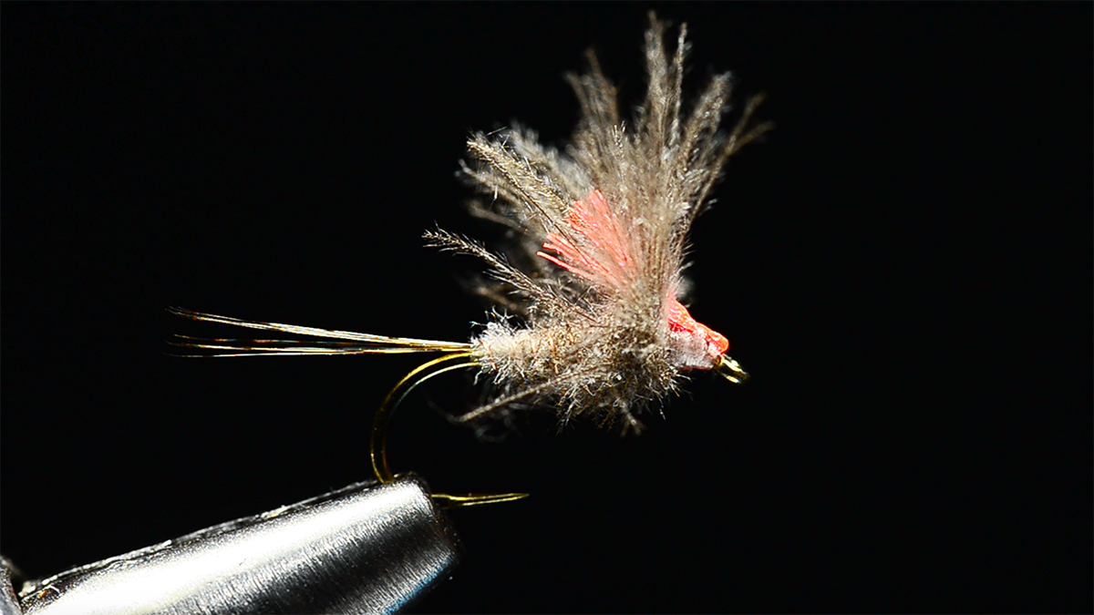 Adult Mayfly Patterns Antonio's Mayfly Adult Fly Tying Video – charliesflybox