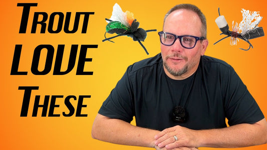 Bug Talk: Ants and Beetles
