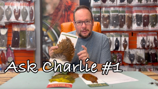 Ask Charlie #1