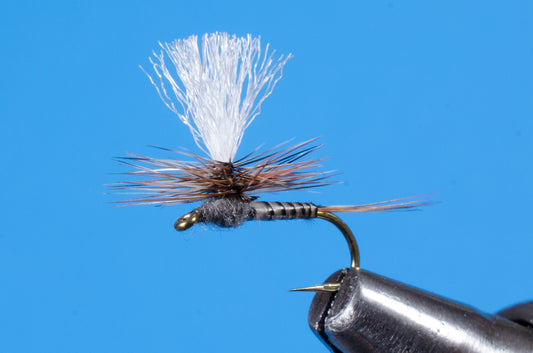Sparkle Caddis Pupa Fly Tying Video – charliesflybox